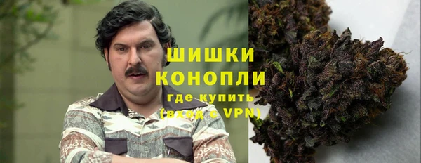 шишки Магас