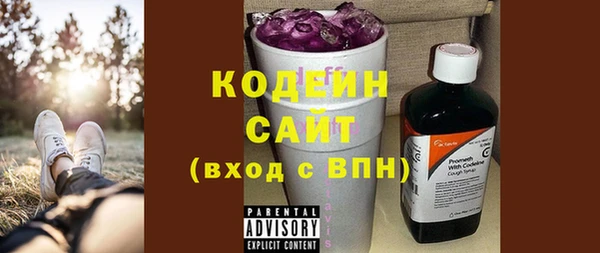 шишки Магас