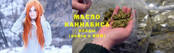 шишки Магас