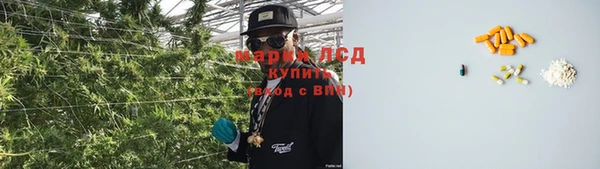 шишки Магас
