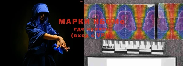 шишки Магас