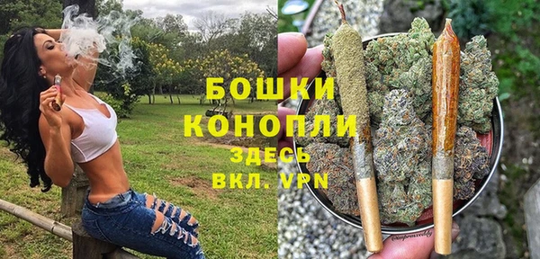 шишки Магас