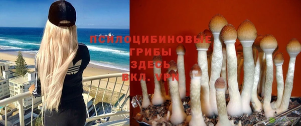 герыч Майский