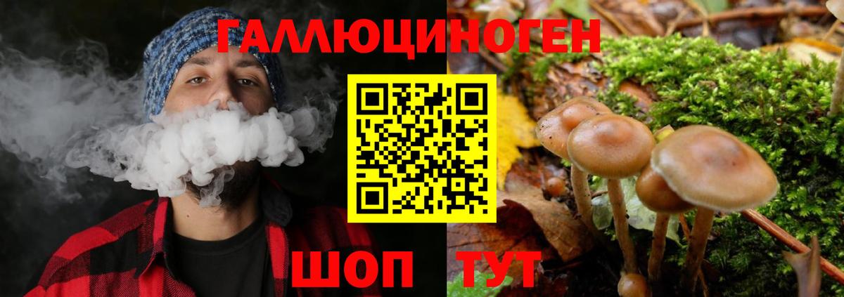 Псилоцибиновые грибы Magic Shrooms Холмск